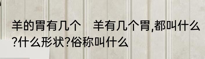 羊的胃有几个　羊有几个胃,都叫什么?什么形状?俗称叫什么