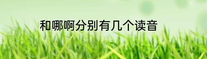 和哪啊分别有几个读音