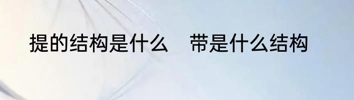 提的结构是什么　带是什么结构