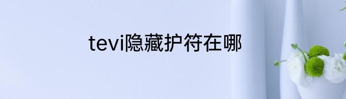 tevi隐藏护符在哪