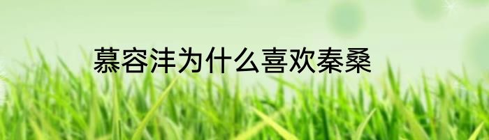 慕容沣为什么喜欢秦桑