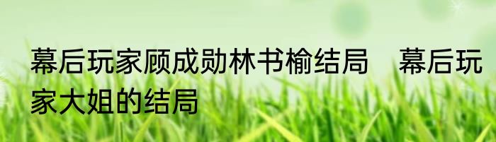 幕后玩家顾成勋林书榆结局　幕后玩家大姐的结局