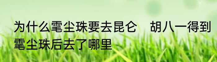 为什么雮尘珠要去昆仑　胡八一得到雮尘珠后去了哪里