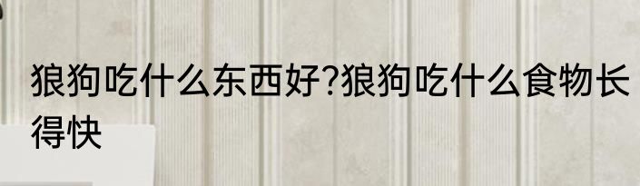 狼狗吃什么东西好?狼狗吃什么食物长得快