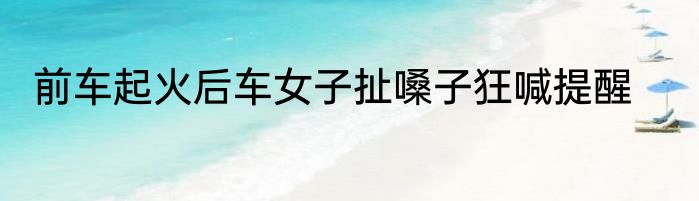 前车起火后车女子扯嗓子狂喊提醒