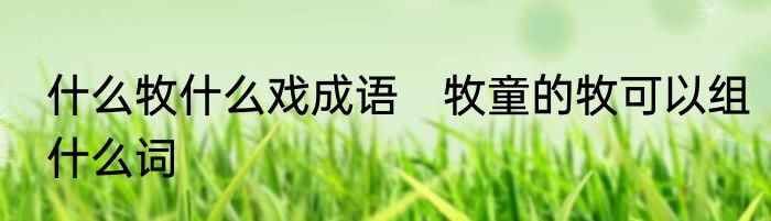 什么牧什么戏成语　牧童的牧可以组什么词