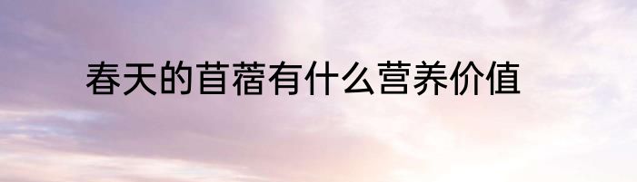 春天的苜蓿有什么营养价值