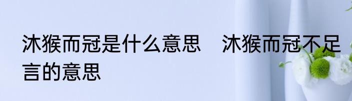 沐猴而冠是什么意思　沐猴而冠不足言的意思
