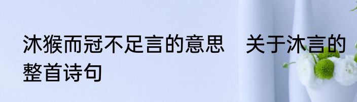 沐猴而冠不足言的意思　关于沐言的整首诗句