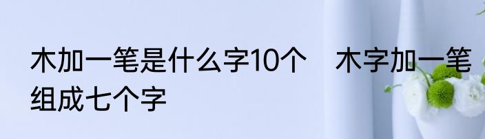 木加一笔是什么字10个　木字加一笔组成七个字