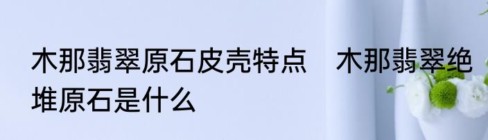 木那翡翠原石皮壳特点　木那翡翠绝堆原石是什么