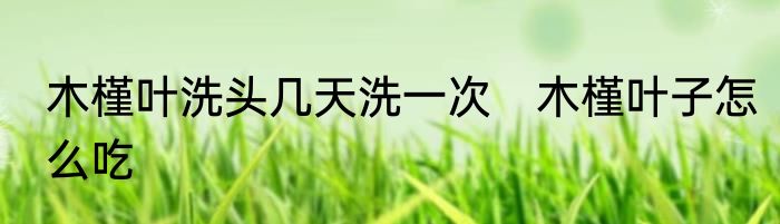 木槿叶洗头几天洗一次　木槿叶子怎么吃