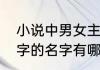 小说中男女主的名字　男孩起名带子字的名字有哪些