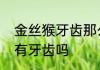 金丝猴牙齿那么锋利不吃肉吗　蝾螈有牙齿吗
