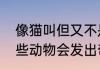 像猫叫但又不是猫的动物是什么　哪些动物会发出奇妙的声音像什么