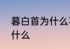 暮白首为什么不吸引人　暮白首讲了什么