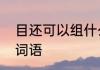 目还可以组什么词　目光的目组什么词语