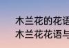 木兰花的花语是什么木兰花的寓意　木兰花花语与寓意
