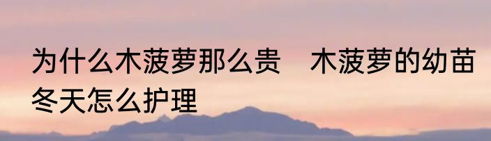 为什么木菠萝那么贵　木菠萝的幼苗冬天怎么护理