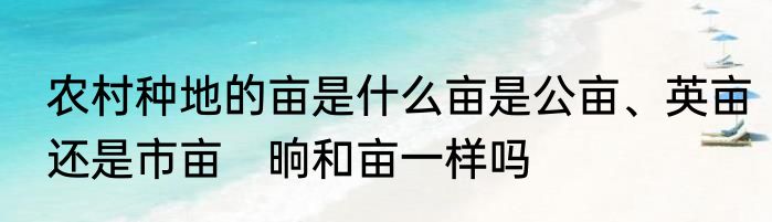 农村种地的亩是什么亩是公亩、英亩还是市亩　晌和亩一样吗