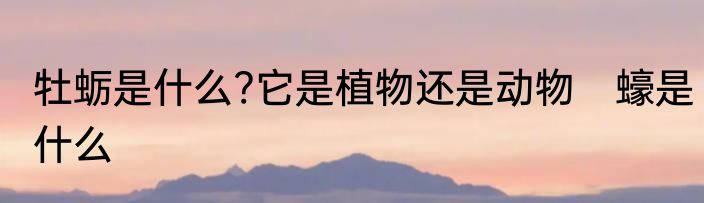 牡蛎是什么?它是植物还是动物　蠔是什么