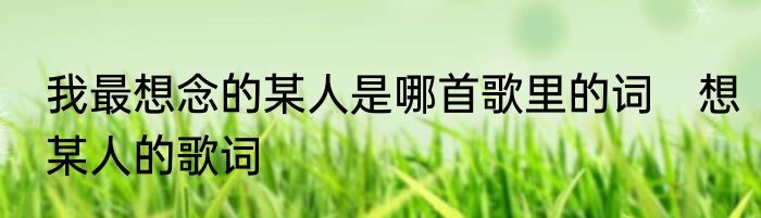 我最想念的某人是哪首歌里的词　想某人的歌词