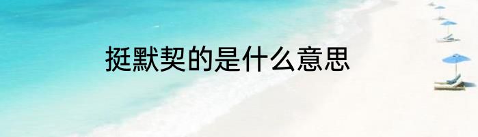 挺默契的是什么意思