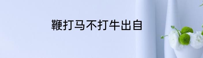 鞭打马不打牛出自