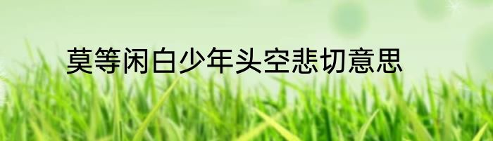 莫等闲白少年头空悲切意思