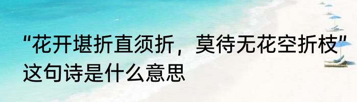 “花开堪折直须折，莫待无花空折枝”这句诗是什么意思