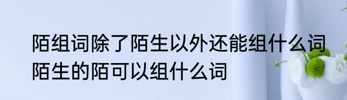 陌组词除了陌生以外还能组什么词　陌生的陌可以组什么词