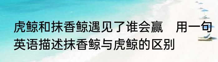 虎鲸和抹香鲸遇见了谁会赢　用一句英语描述抹香鲸与虎鲸的区别