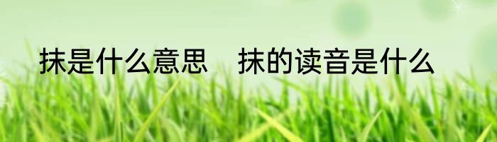 抹是什么意思　抹的读音是什么