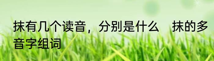 抹有几个读音，分别是什么　抹的多音字组词