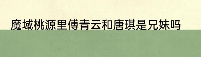 魔域桃源里傅青云和唐琪是兄妹吗