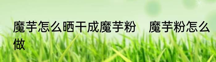 魔芋怎么晒干成魔芋粉　魔芋粉怎么做