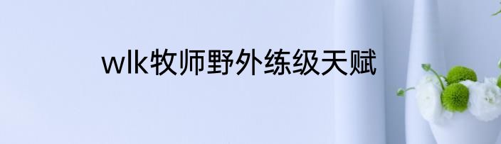 wlk牧师野外练级天赋