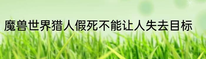 魔兽世界猎人假死不能让人失去目标