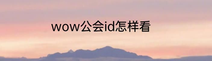 wow公会id怎样看