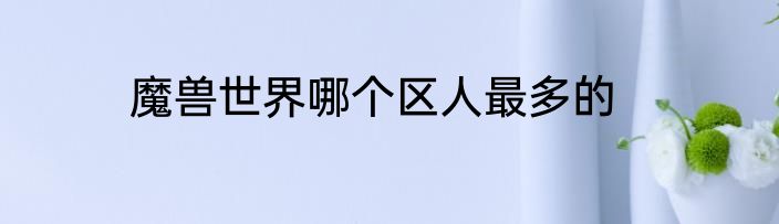 魔兽世界哪个区人最多的