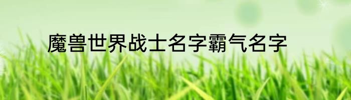 魔兽世界战士名字霸气名字