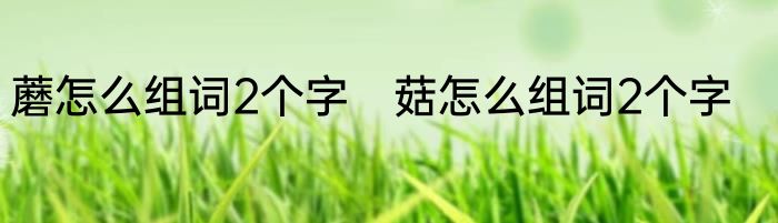 蘑怎么组词2个字　菇怎么组词2个字