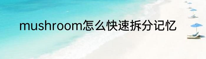 mushroom怎么快速拆分记忆