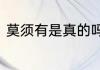 莫须有是真的吗　莫须有是否是成语