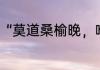 “莫道桑榆晚，唯霞尚满天”全诗内容