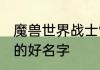 魔兽世界战士9.1强么　魔兽世界战士的好名字