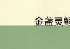 金盏灵鲤是飞行坐骑吗