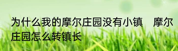 为什么我的摩尔庄园没有小镇　摩尔庄园怎么转镇长