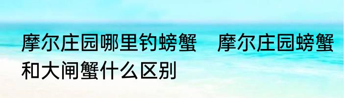 摩尔庄园哪里钓螃蟹　摩尔庄园螃蟹和大闸蟹什么区别