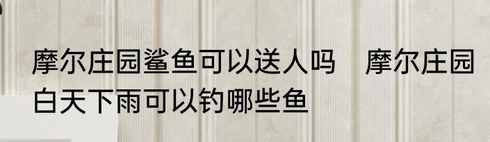 摩尔庄园鲨鱼可以送人吗　摩尔庄园白天下雨可以钓哪些鱼